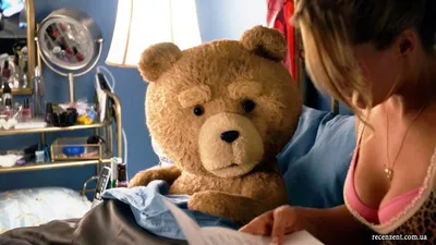 Full HD изображение Медведя из фильма третий лишний