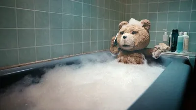 Изображение медведя из фильма Третий лишний в Full HD разрешении
