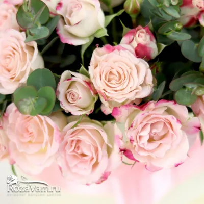 Фотка розы мелкого размера для вашего выбора