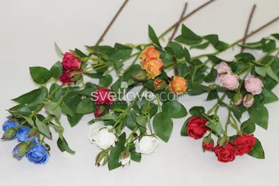 Мелкая кустовая роза в формате jpg для скачивания