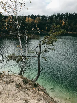 Меловые озера Беларуси на фотографиях: огромные водные поверхности