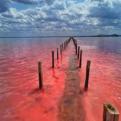 Фотоэкскурсия вокруг Мертвого моря: потрясающие моменты в кадрах