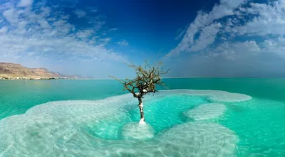 Фото Мертвого моря: природа изумительной красоты