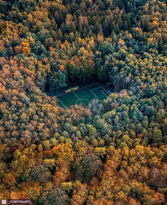 Приключение в Мещерском лесном парке: фотоотчет