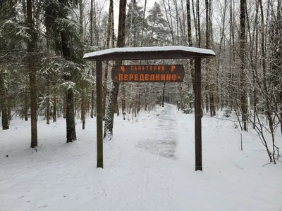 Фото Мещерского леса в хорошем качестве: натуральная красота природы