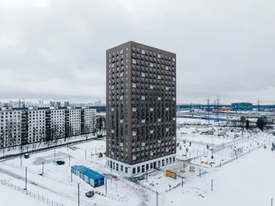 Уникальные фотоперспективы Мещерского леса: глубокие тени и лучи солнца.