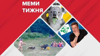 Месячные смешные картинки: улыбнитесь вместе с нами!