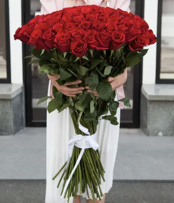 Фото Метровые розы в разных размерах: jpg, png, webp