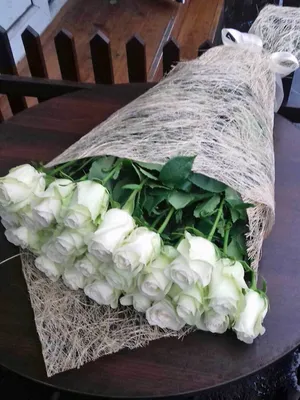 Фото розы Метровые розы: сохраните в нужном формате