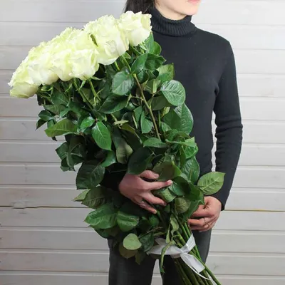 Фото Метровых роз в высоком разрешении и различных форматах
