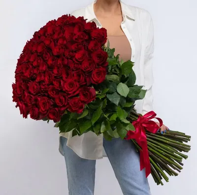 Фотография розы Метровые розы: выберите формат и скачайте картинку