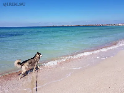 Удивительные фотографии Межводного пляжа в 4K разрешении