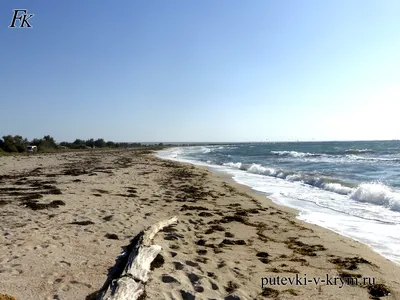 Лучшие изображения Межводного пляжа в HD качестве