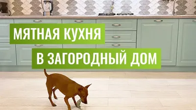 Фотографии, которые заставят вас полюбить Мятную кухню