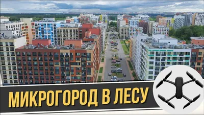 Неповторимая атмосфера: Микрогород в окружении дикой природы 