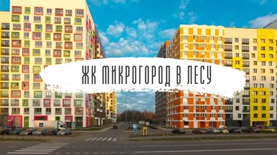 Микрокосмос природы: Микрогород с захватывающими видами 