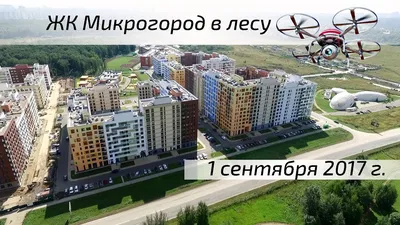 Красивые изображения микрогорода в лесу