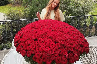 Миллион алых роз в прекрасных фотографиях
