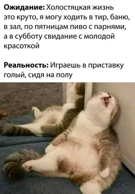 Фотографии, которые вызовут у вас улыбку: милые и смешные моменты!