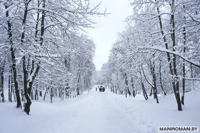 Минск в декабре: Фотографии и изображения в разных форматах