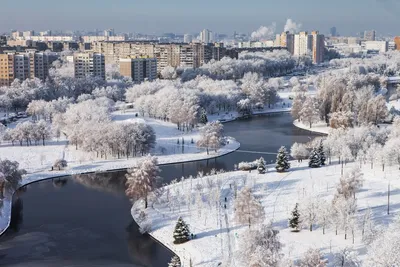 Зимний аромат столицы: Фото Минска с возможностью выбора формата