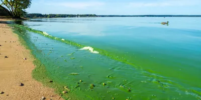 Удивительные виды Минского моря: фотографии для вдохновения