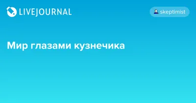 Уникальные кадры: кузнечиковый взгляд на мир