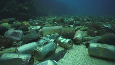 Подводный рай: фотографии живописных океанских рассветов