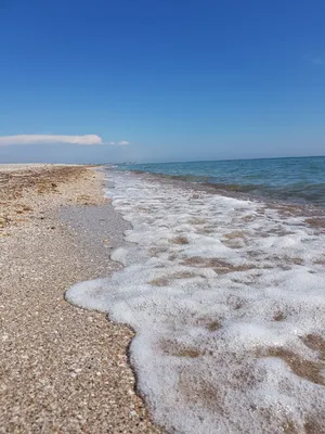 Фото Мирного Крыма на пляже в формате PNG