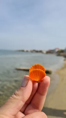 Мирный крымский пляж на фото: встреча с природной красотой и умиротворением