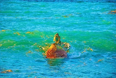 Изображения Мисхор пляж русалка - летние впечатления
