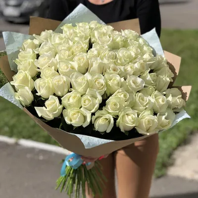 Удивительные белые розы на картинках
