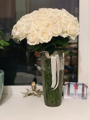 Очарование белых роз на качественных фото