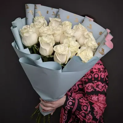Прекрасные фото белых роз для скачивания