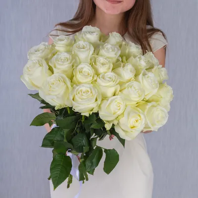 Пленительные фотографии белых роз в формате webp