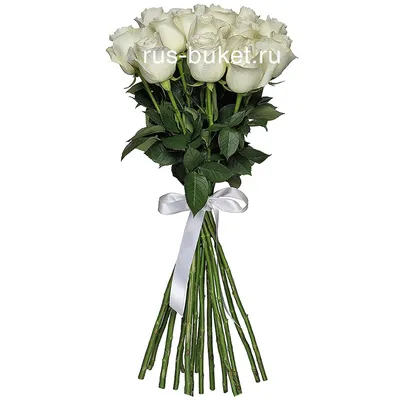 Белые розы на фотографиях: идеальный подарок