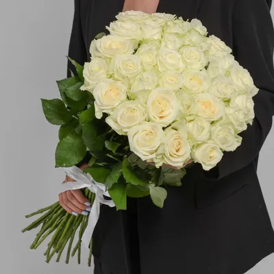 Фото белых роз в разных размерах