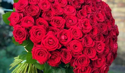 Фотография букета красных роз в формате webp