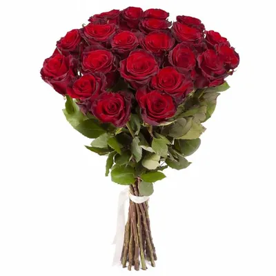 Пленительная картина с крупными красными розами