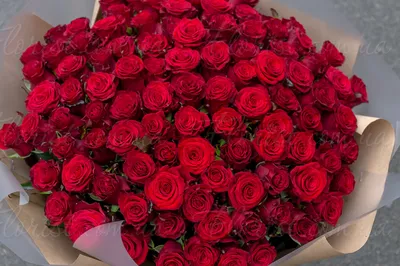 Изображение пуговицы красной розы в формате webp