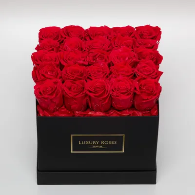 Фотография красных роз в керамической вазе в png