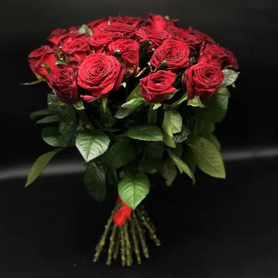 Изображение красных роз в формате webp на черном фоне