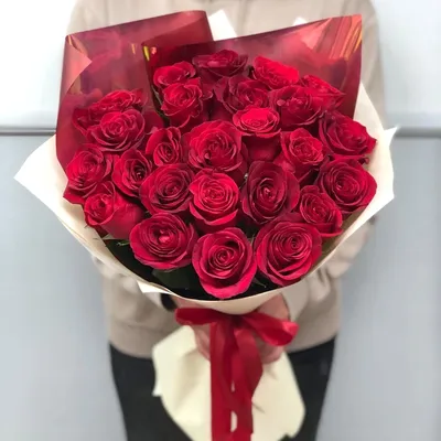Изображение красных роз во всей красе в png