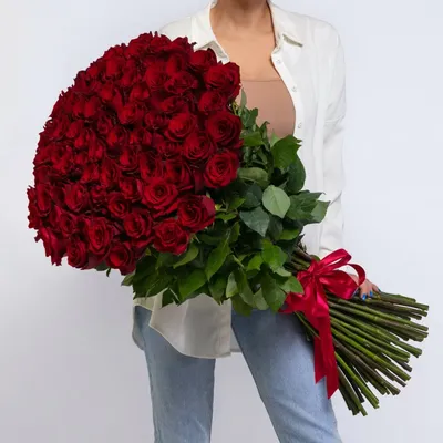 Фото красной розы в большом разрешении в webp