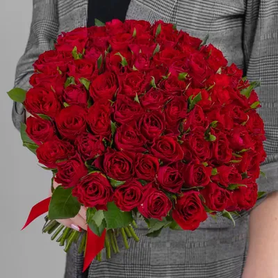 Фотография красных роз на черном фоне в png