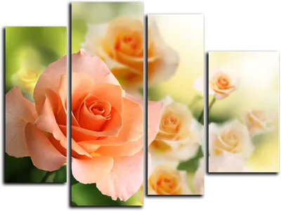 Модульные картины розы – выберите размер и формат для скачивания