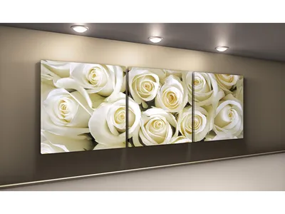 Модульные фотографии розы – доступны разные размеры и форматы