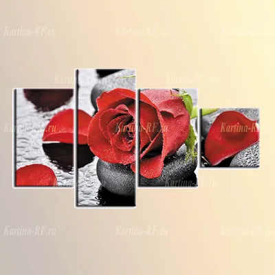 Модульные изображения розы для интерьера – возможность выбора размера и формата