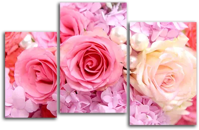 Модульные фотки розы – выберите свой идеальный размер и формат