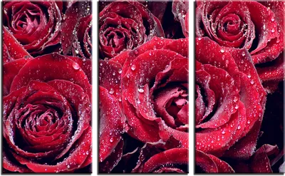 Модульные картинки с розой – возможность выбора размера и формата